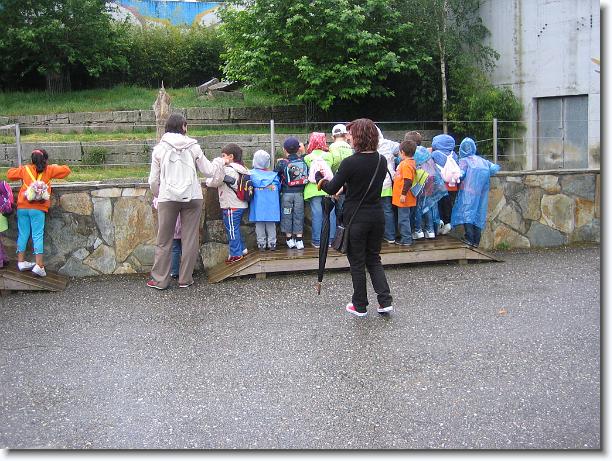 Diapositiva siguiente